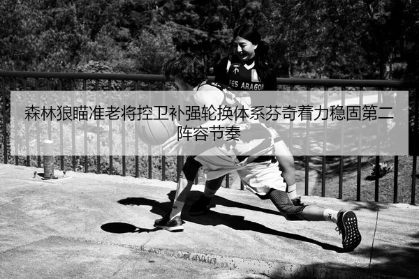 森林狼瞄准老将控卫补强轮换体系芬奇着力稳固第二阵容节奏